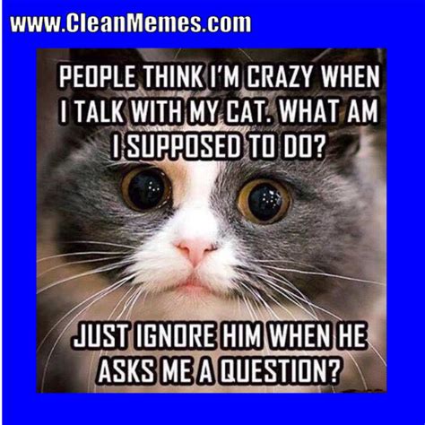 66imcrazy Clean Memes