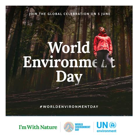 Celebrate World Environment Day June 5 Bcd Travel Blog