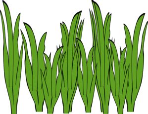 Seagrass Clip Art at Clker.com - vector clip art online, royalty free ...