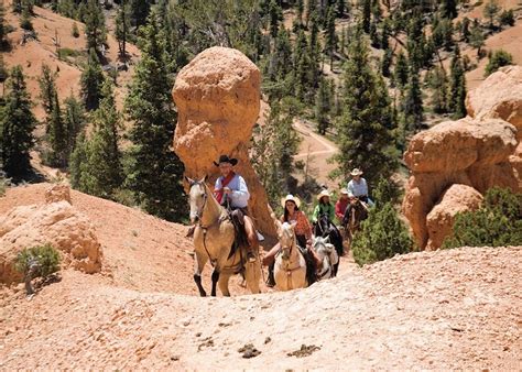 Rubys Horseback Rides The Usa Audley Travel