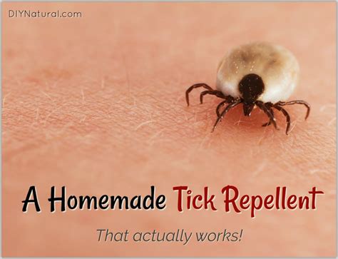 Homemade Tick Repellent Spray That Works And Is Backed By Research