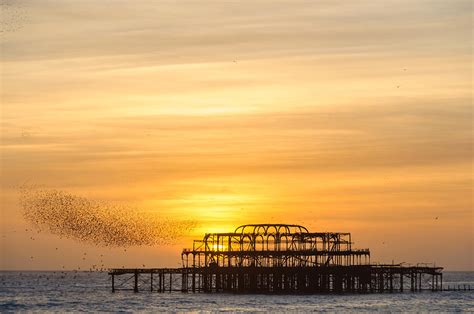 Flock Of Starlings Over The West Pier In Brighton Photograph By