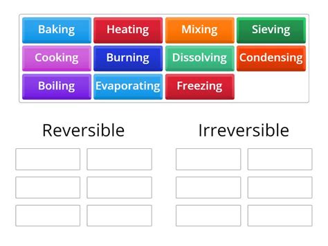 Reversible And Irreversible Changes Group Sort