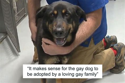 Homophobic Owner Abandons ‘gay Puppy Who Later Gets Taken In By Gay Couple