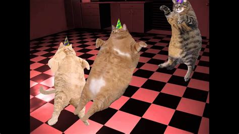 44 Top Baru Fat Cat Dancing