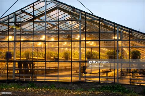 Iceland Greenhouse High Res Stock Photo Getty Images
