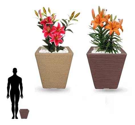 2 Vasos Pequenos De Planta Flores P Decoração Mesa Q 30x30 Parcelamento Sem Juros