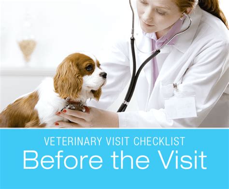 ✅ looking for the best matchmaker sites to meet singles who are into serious relationships like you? Veterinary Visit Checklist : Before the Visit, Questions ...