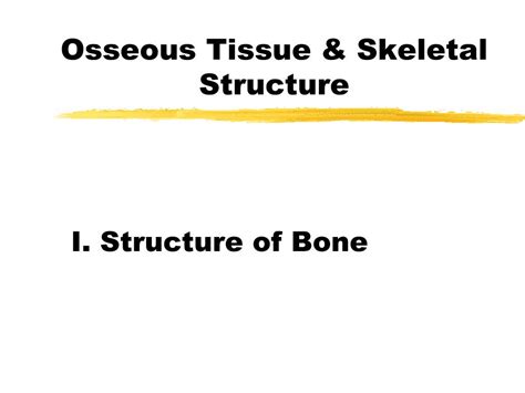 Ppt Osseous Tissue And Skeletal Structure Powerpoint Presentation Id