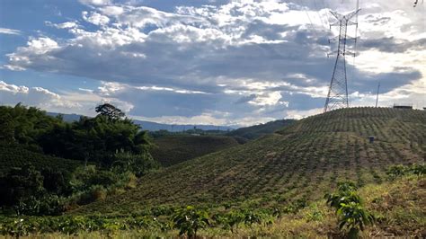 Coffee Production In World Heritage Landscape Ruritage
