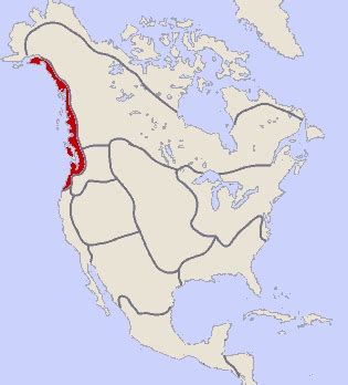 Northwest Coast Native American Map Emilie Nicolette