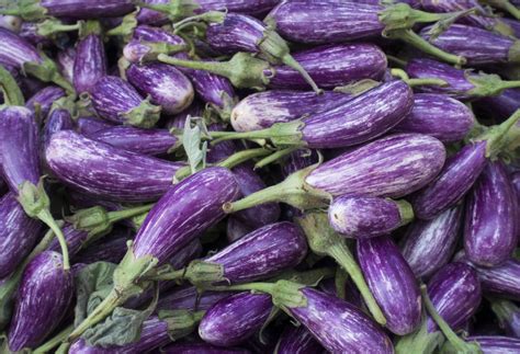 10 Types Of Eggplant—and What To Do With Them Myrecipes