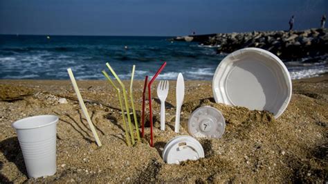 Contaminación Ambiental El Plástico Representa Más Del 84 De Los