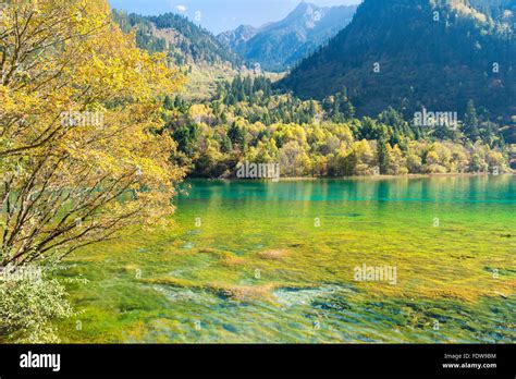 Colorful Lake Jiuzhaigou National Park Sichuan Province China