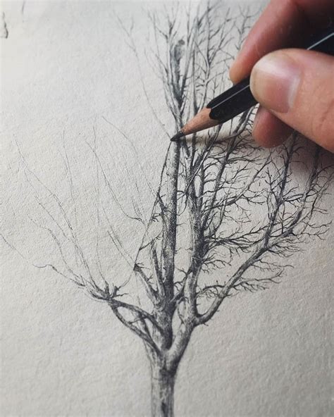 Pencil Tree Drawing Tutorial