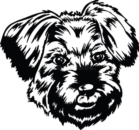 Little Dog Head Vector Illustration Stock Vector Illustration Of