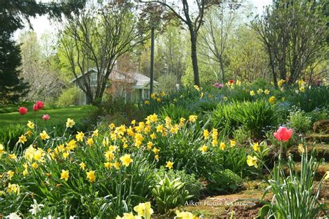 Dreaming Of Our Spring Garden Spring Garden English Country Gardens