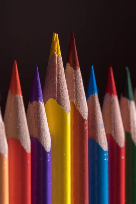 Free Images Pencil Macro Office Paint Colorful Close Children