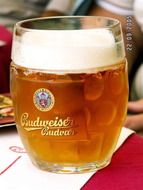 6 Famous Beers You Must Try In Czech Rep Istudentzonecz Beer