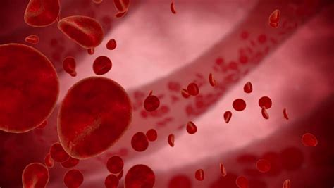 Red Blood Cell Inside Human Stock Footage Video 100 Royalty Free