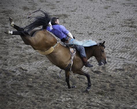 Rodeo Celebrating One Of Sports Oldest Traditions The Daily Universe
