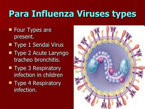 Parainfluenza Virus Viral Infections
