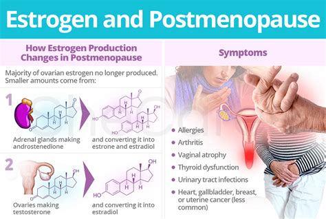 Estrogen And Postmenopause Shecares