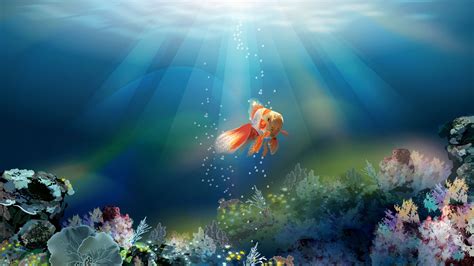 Hd Fish Wallpaper Wallpapersafari