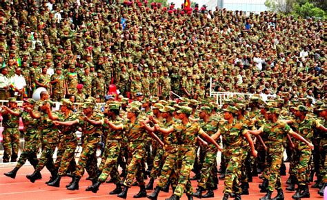 Ethiopia What The Army Has Been Contributing To The Economy