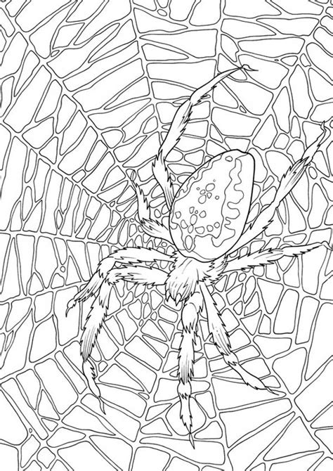 Spider webs are one of the scary elements of halloween. Very Large Spider Web Coloring Page : Color Luna in 2020 ...