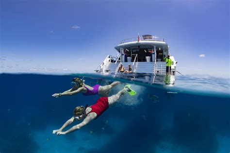 Great Barrier Reef Tour Visit 3 Reefs 5 Hours Dive And Snorkel