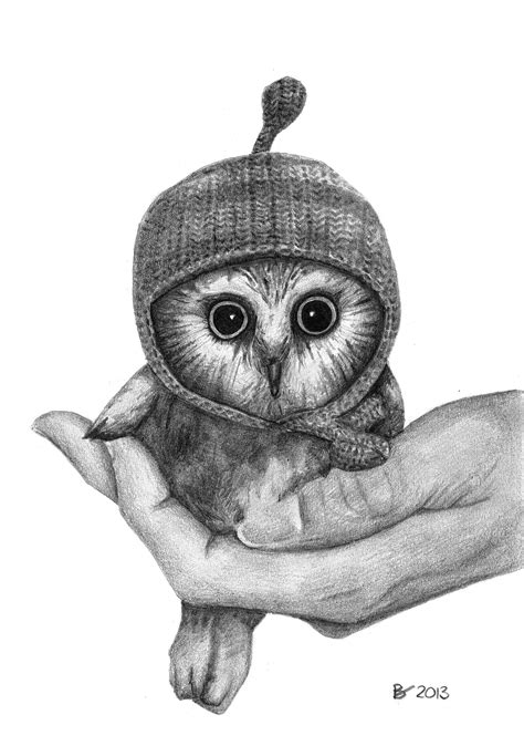 Drawing Of A Baby Owl With Hat Realism Animal Fine Arts Art By