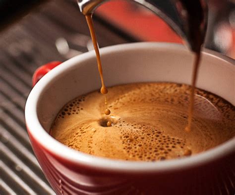 Barista Basics How To Make An Espresso In 14 Steps Perfect Daily Grind
