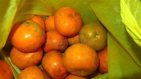 Grainy And Blurry Picture Of Orange Fruit Bunch Of Oranges Round Yellow