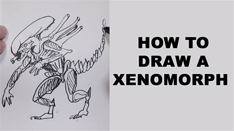 Draw a simple shape, such as a circle, and add an imaginary light source to your page. How to Draw a Xenomorph - YouTube