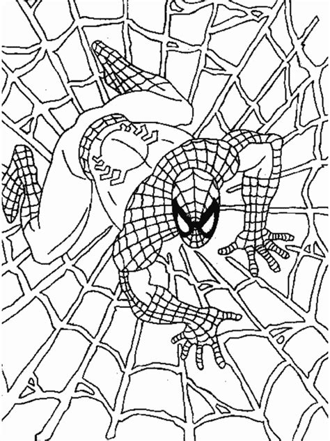 Spiderman Ausmalen Ausmalbilder Für Kinder Ausmalen Ausmalbilder