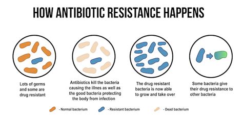 How To Train The Bodys Own Cells To Combat Antibiotic Resistance