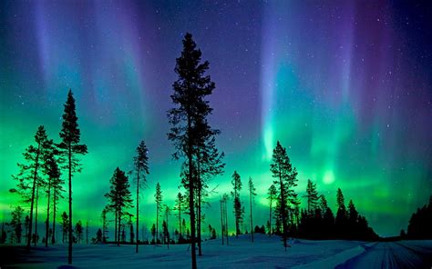 Northern Lights Over Acadia National Park Sky Nature Aurora Borealis