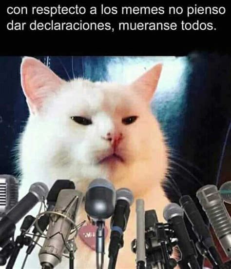 Meme De Gato Llorando Con Microfono Un Gato Representa La Sensualidad