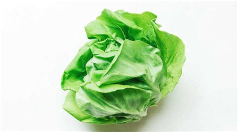 Butterhead Lettuce 101 Everything You Need To Know Live Eat Learn