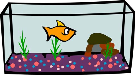 Fish Tank Vector At Getdrawings Free Download