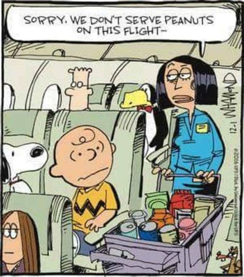 Pin By Kerry Kocher On Charlie Brown Cartoon Jokes Funny Picture