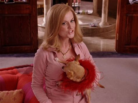 Amy In Mean Girls Amy Poehler Image 7197524 Fanpop