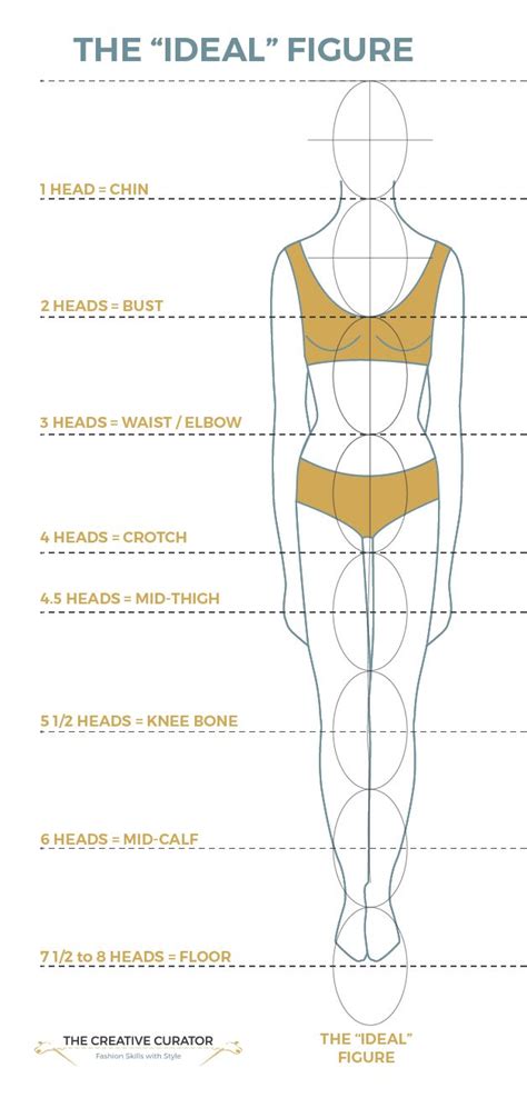 Learn More About Your Body Proportions Body Proportions Pattern