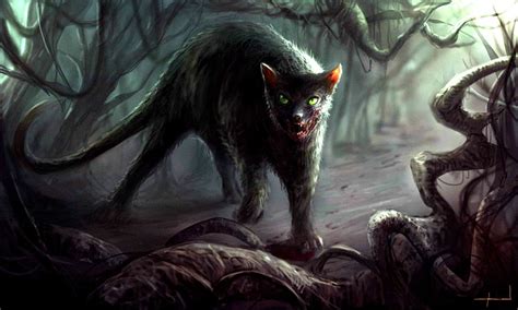 Hd Wallpaper Dark Creepy Cat Evil Forest Halloween Horror Scary