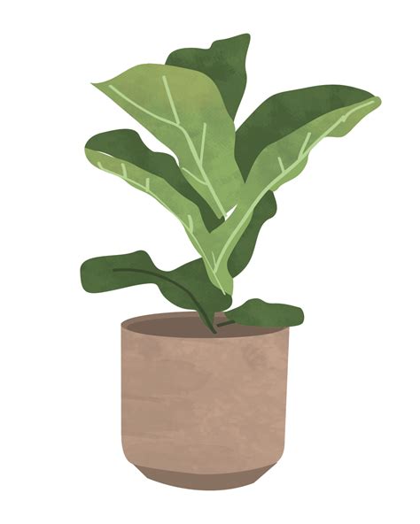 Plant Illustration Plant Illustration Plant Drawing Plant Painting