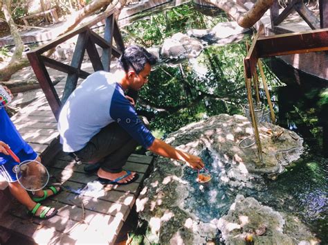 Save felda residence hot spring to your lists. Pengalaman di Sungai Klah Hotspring bersama keluarga