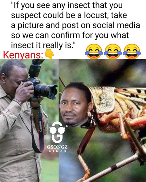 Pin Auf Funny Kenyan Memes