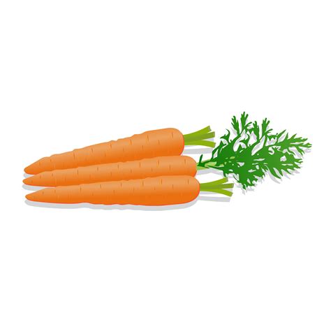Two Carrots With Green Tops On A White Background
