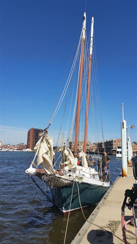 Sailing A Tom Colvin Gaff Rigged Schooner — Rigging Doctor